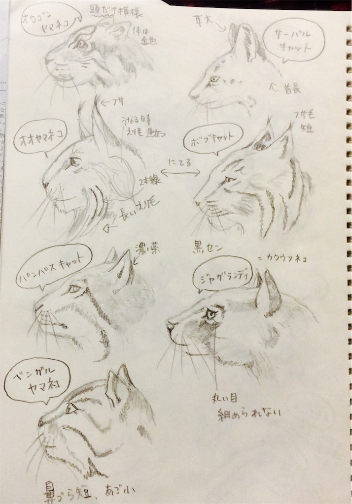 f:id:draw642:20180115192537j:image
