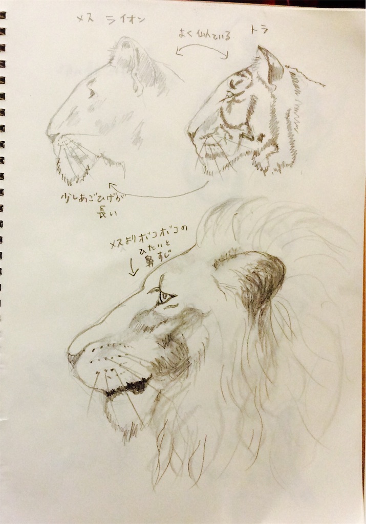 f:id:draw642:20180116212346j:image