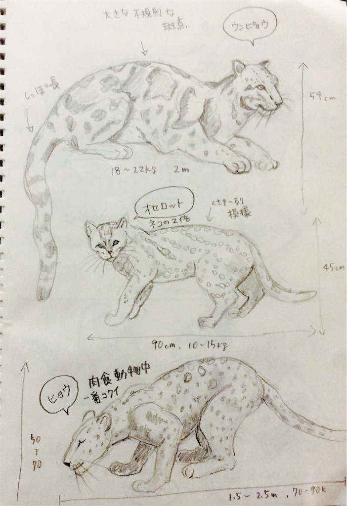 f:id:draw642:20180117202959j:image