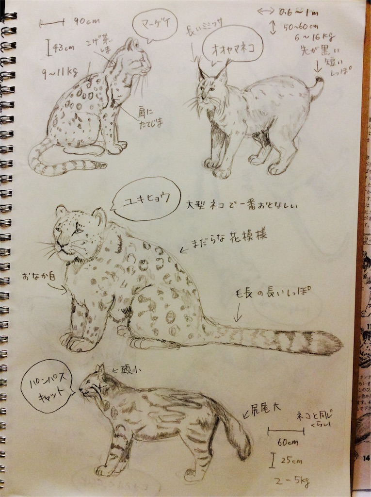 f:id:draw642:20180118204859j:image