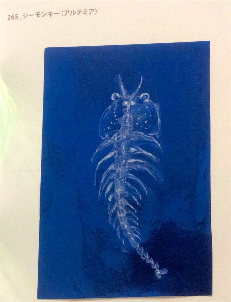 f:id:draw642:20180119192849j:image