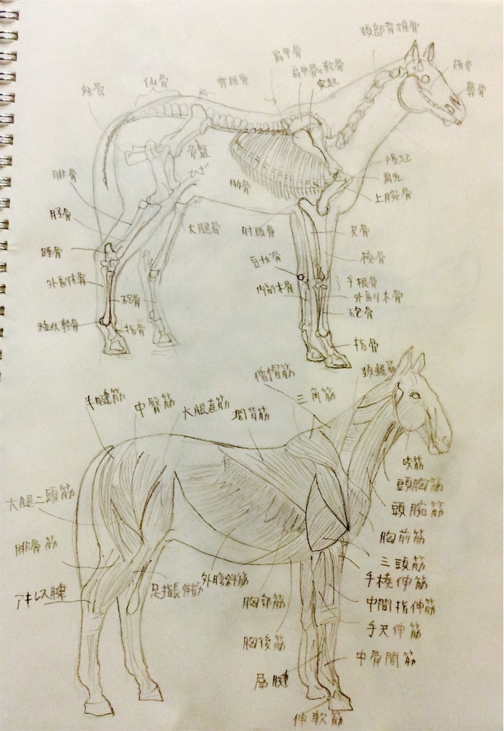 f:id:draw642:20180131201312j:image