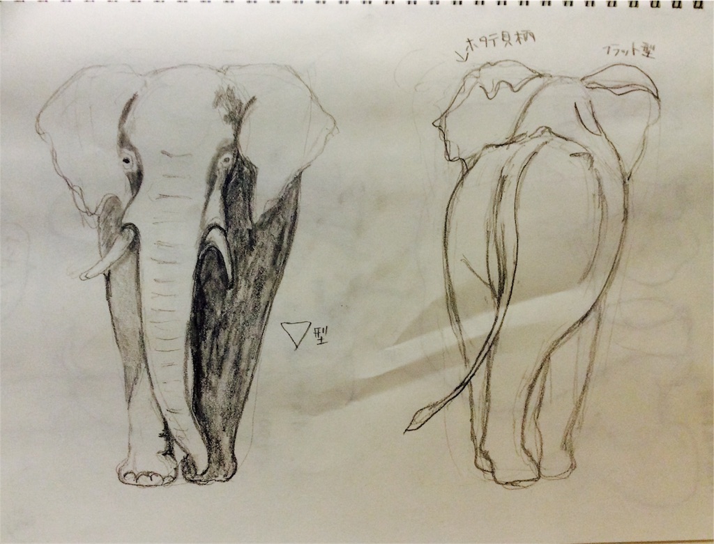 f:id:draw642:20180212173258j:image