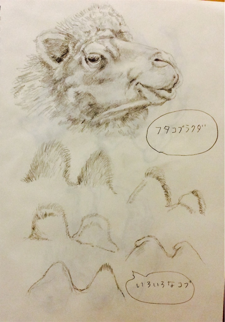 今日かららくでないらくだだよ 子猫チビ太とイラストの成長ブログ 今日かららくでないらくだだよ 子猫チビ太とイラストの成長ブログ