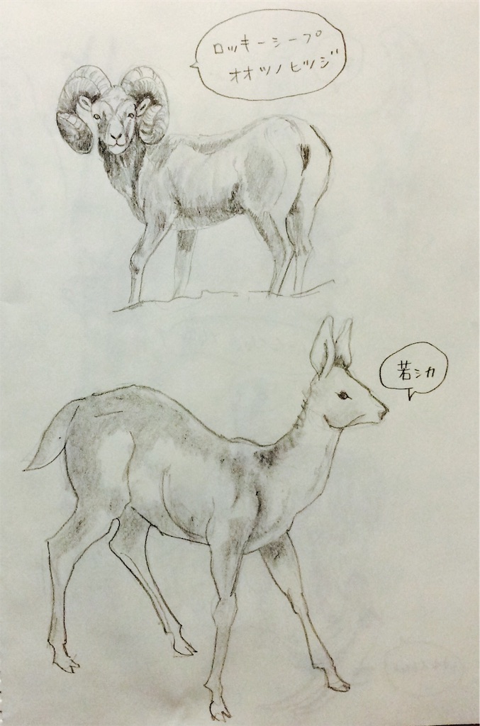 f:id:draw642:20180308191539j:image