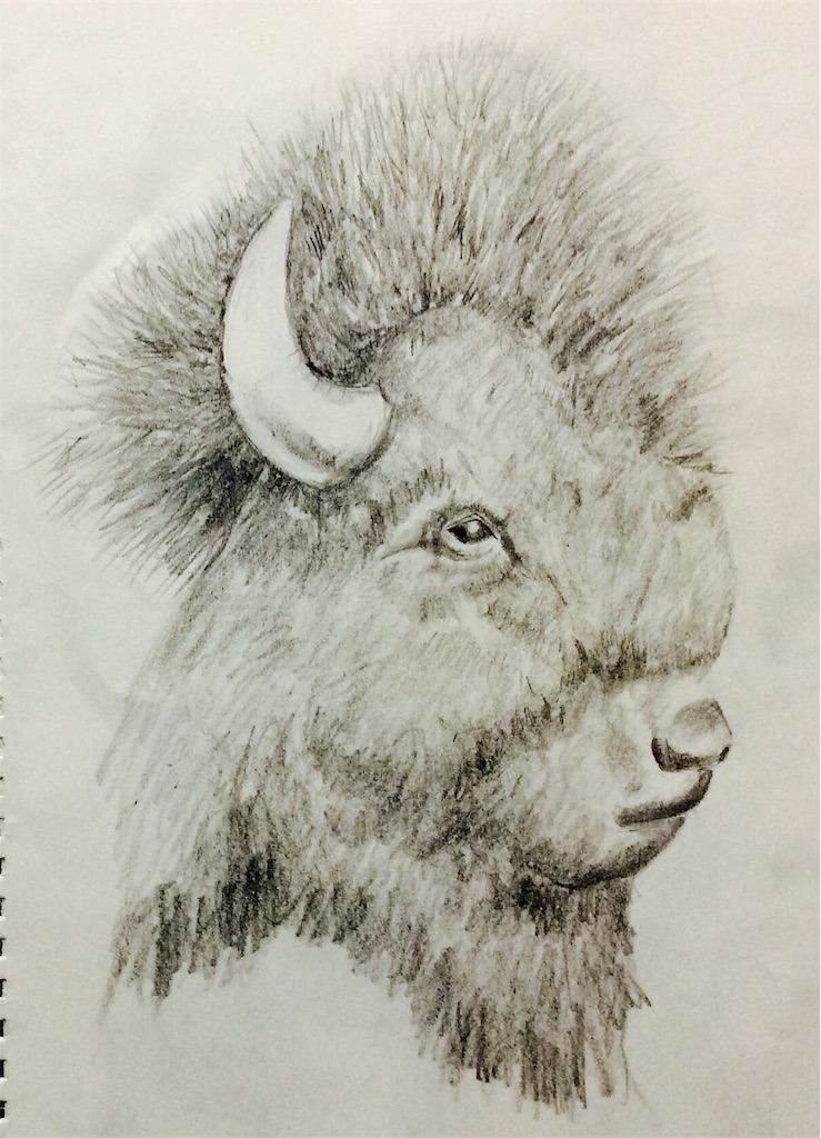f:id:draw642:20180309180112j:image