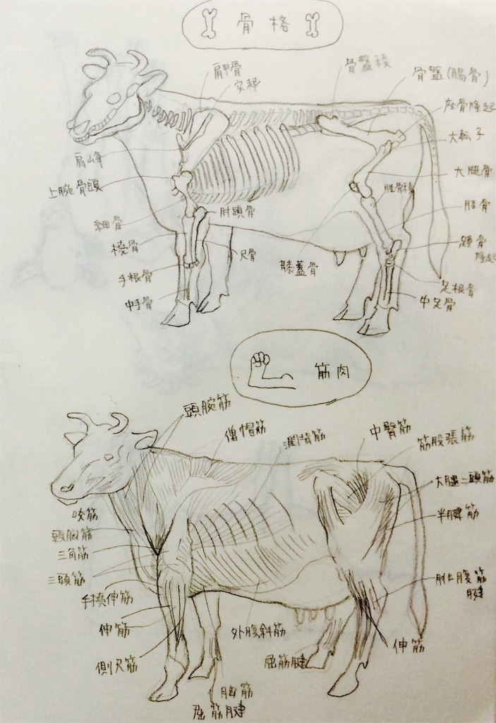 f:id:draw642:20180311172752j:image