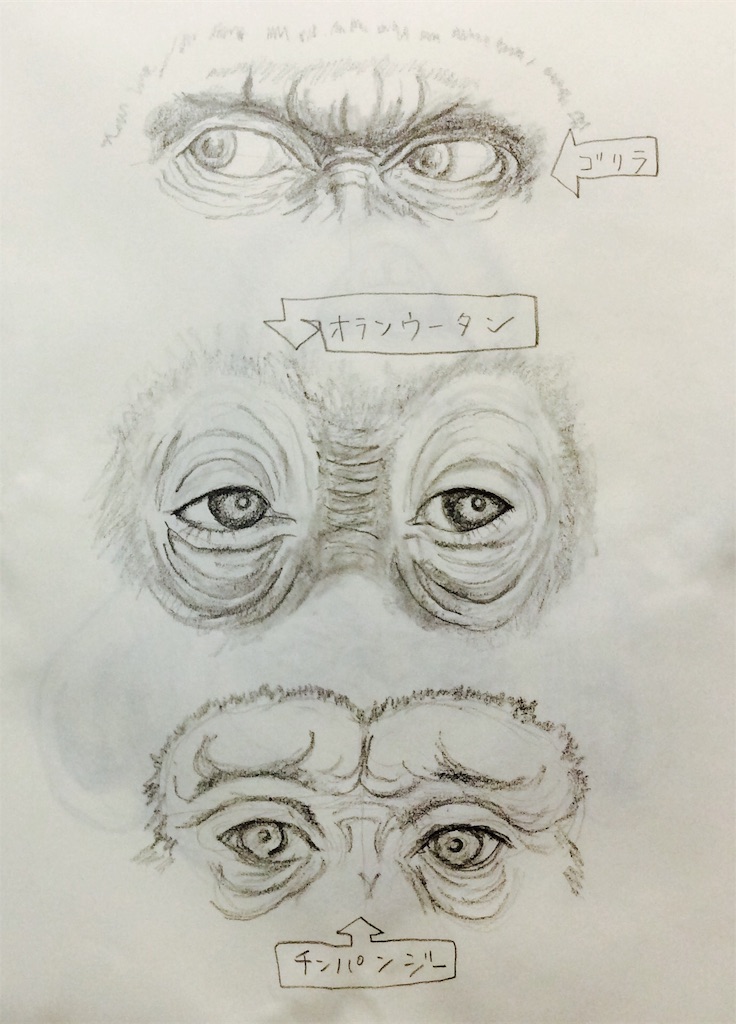 f:id:draw642:20180318172542j:image