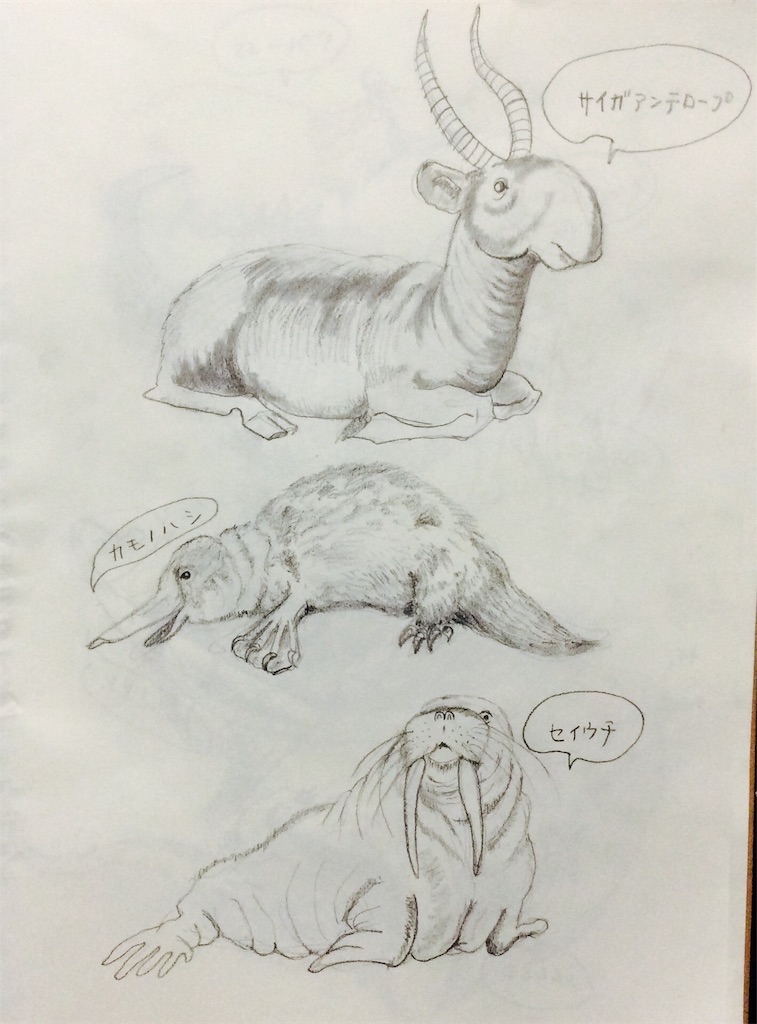f:id:draw642:20180321175915j:image