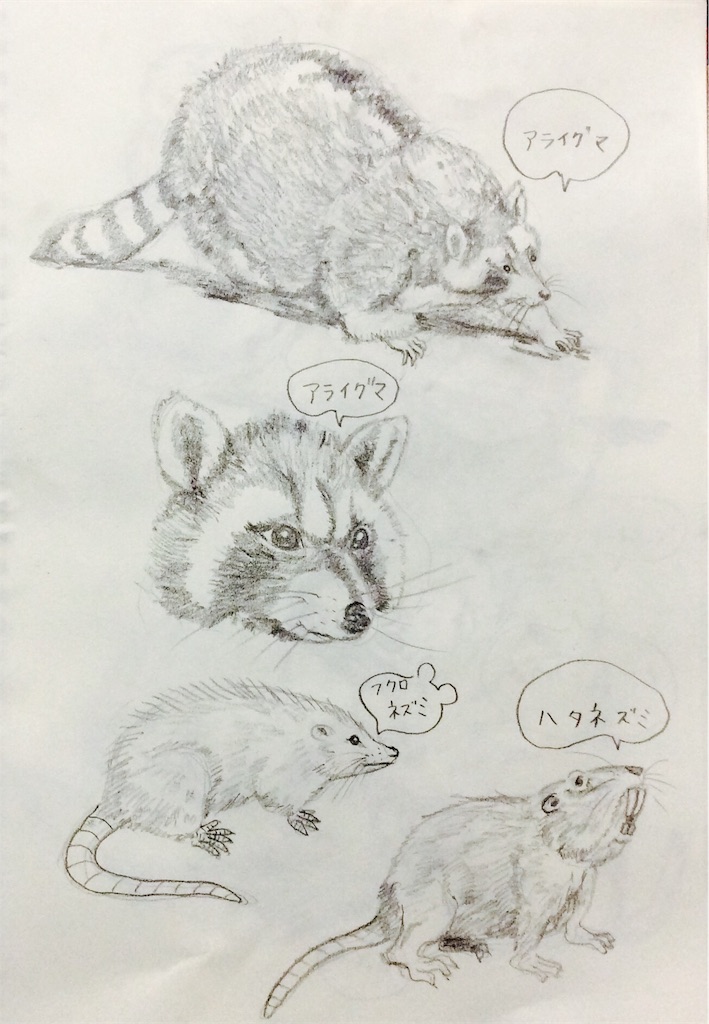 f:id:draw642:20180322193718j:image