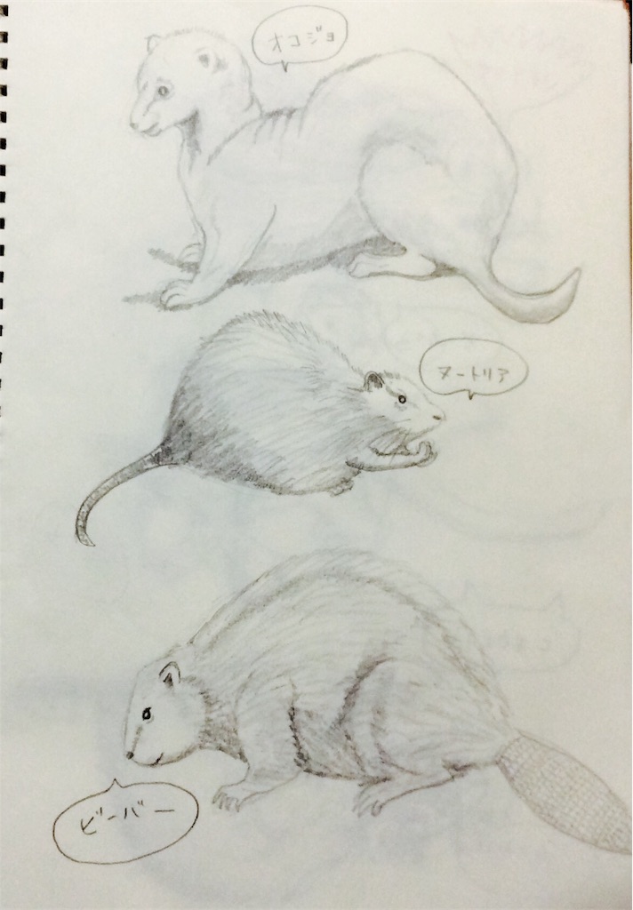 f:id:draw642:20180323203013j:image