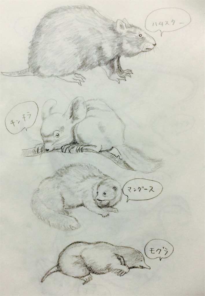 f:id:draw642:20180323203018j:image