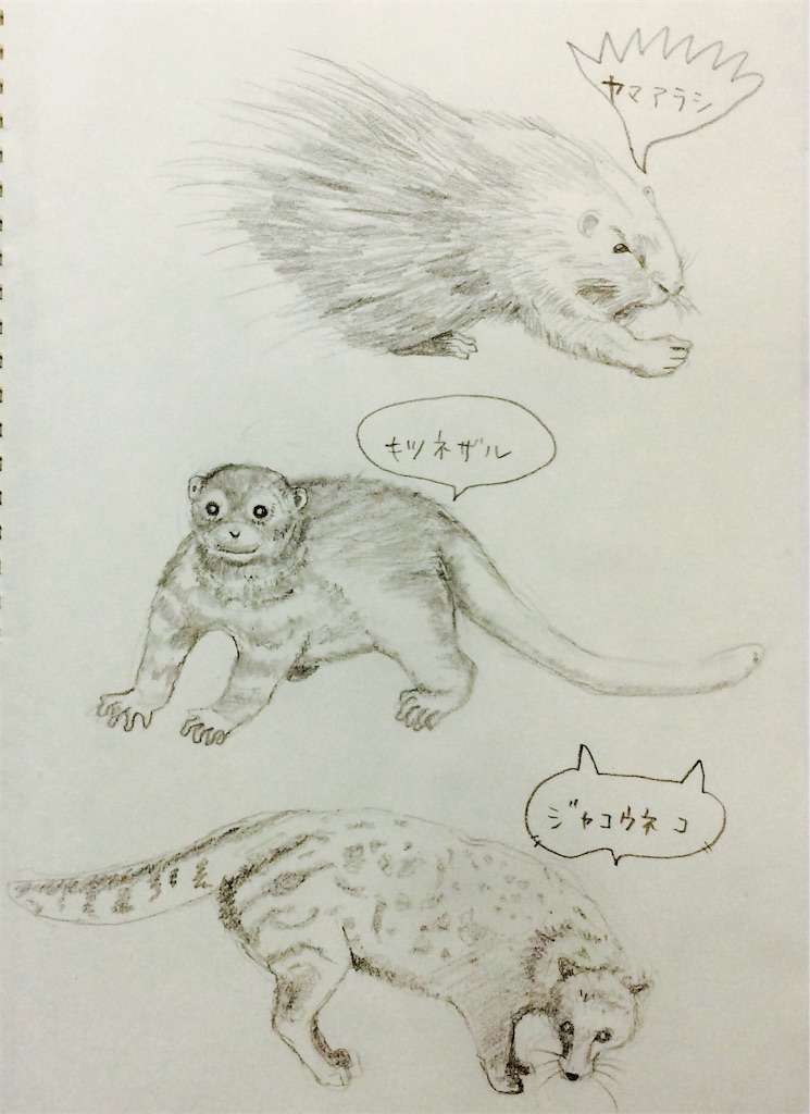 f:id:draw642:20180323203025j:image