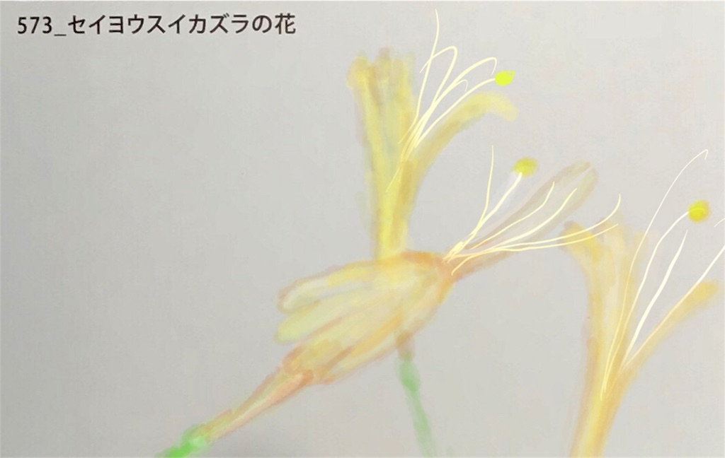 f:id:draw642:20180713215151j:image