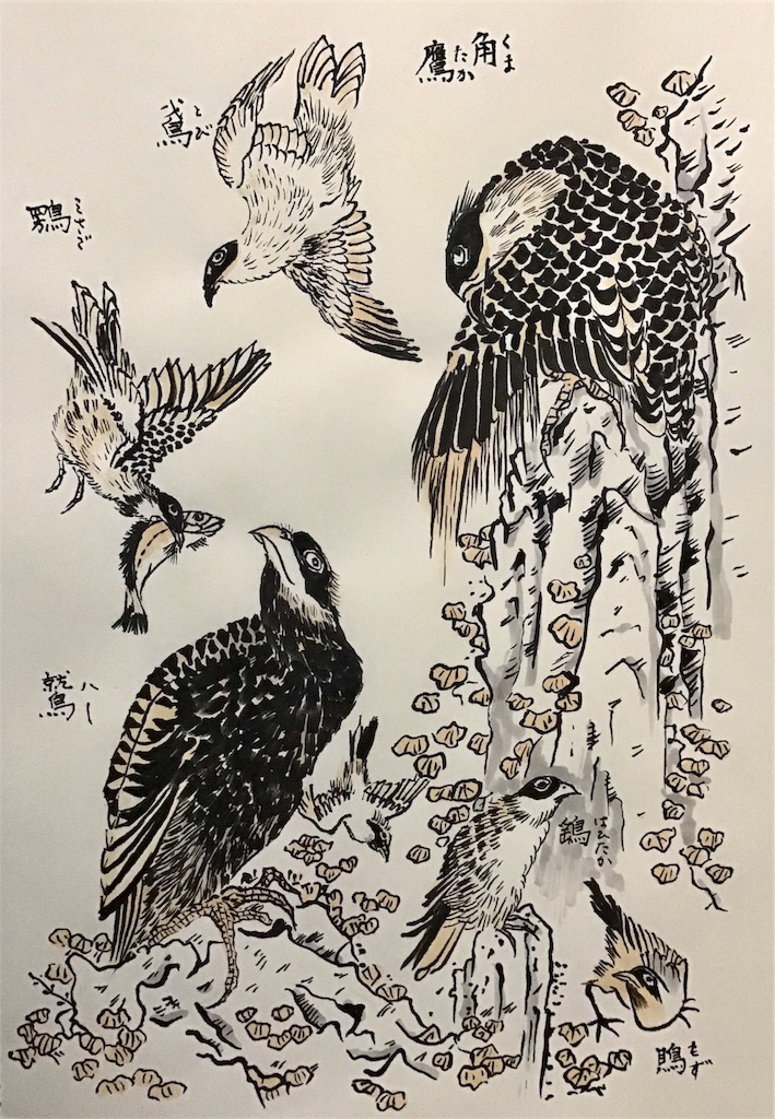 ハンター鳥 子猫チビ太とイラストの成長ブログ