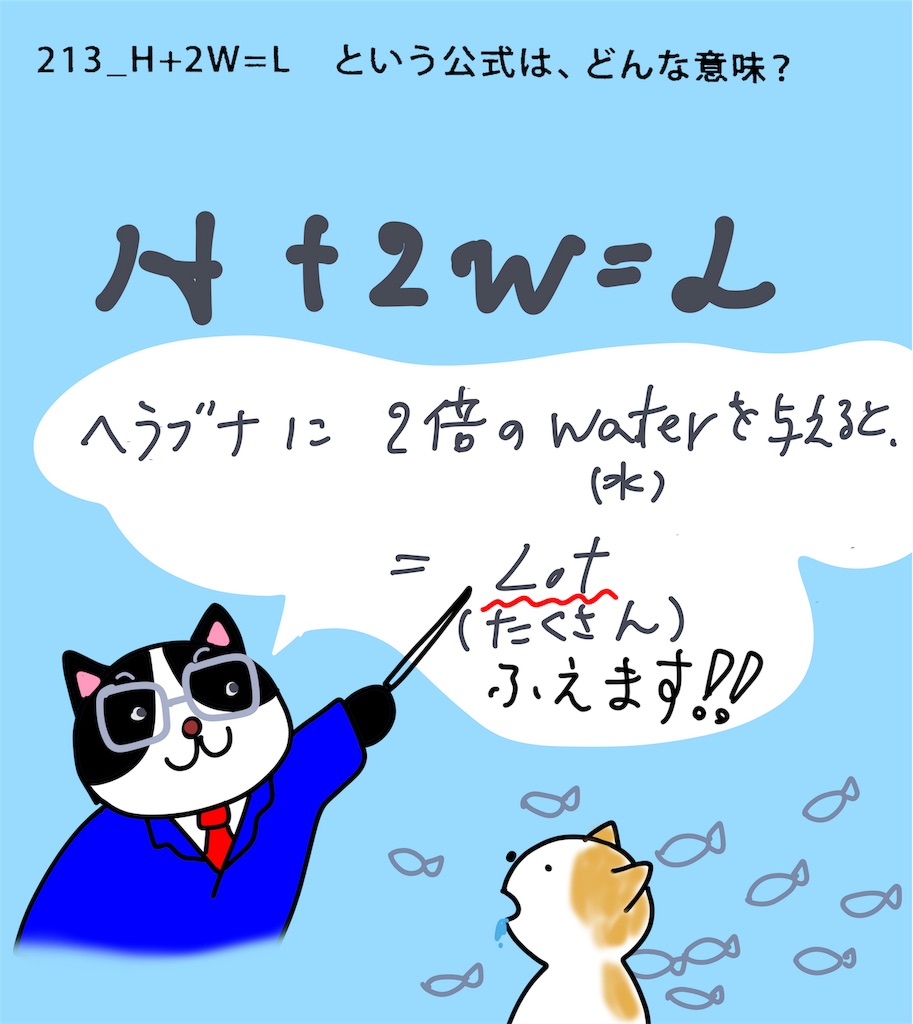 f:id:draw642:20190219074856j:image