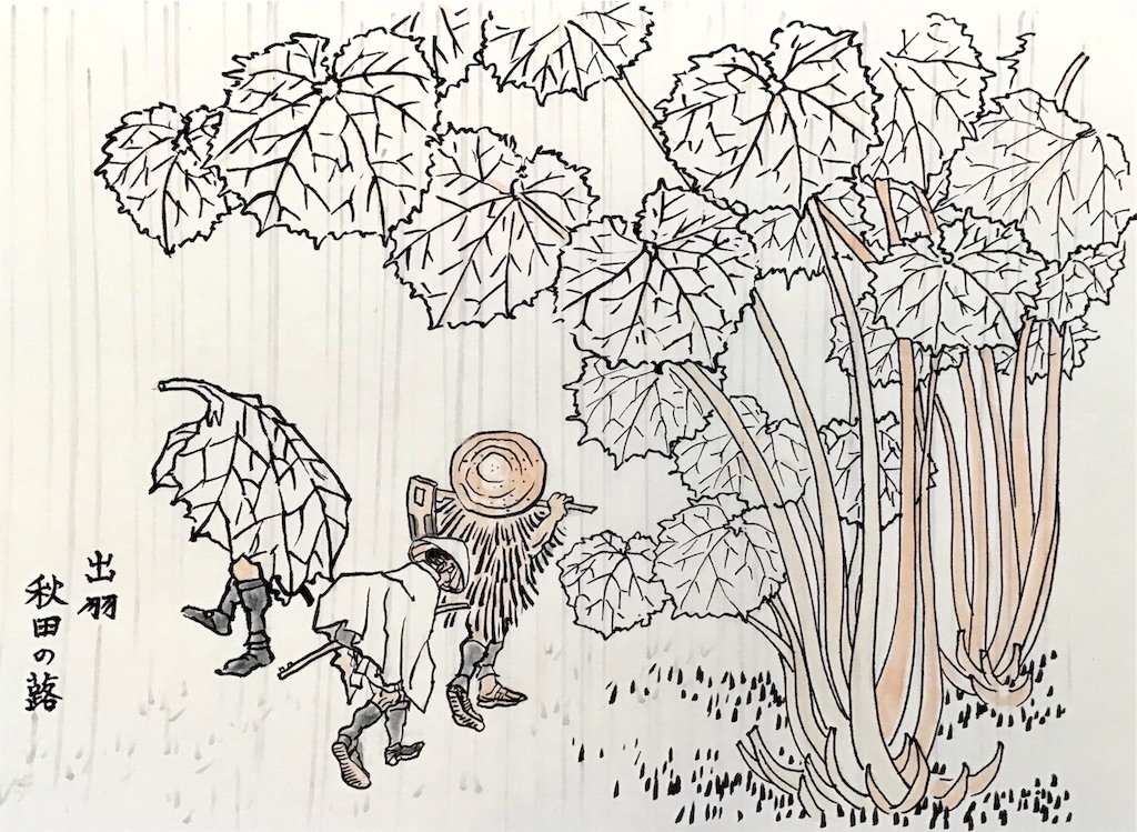 f:id:draw642:20190413135850j:image