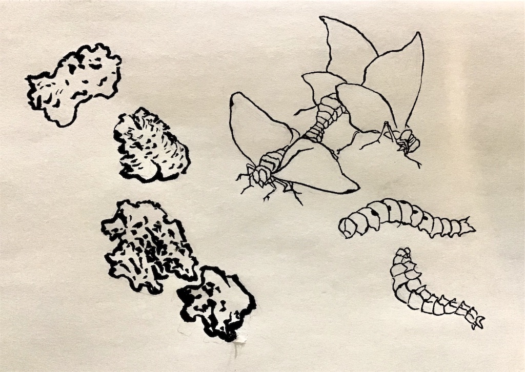 f:id:draw642:20190712182917j:image