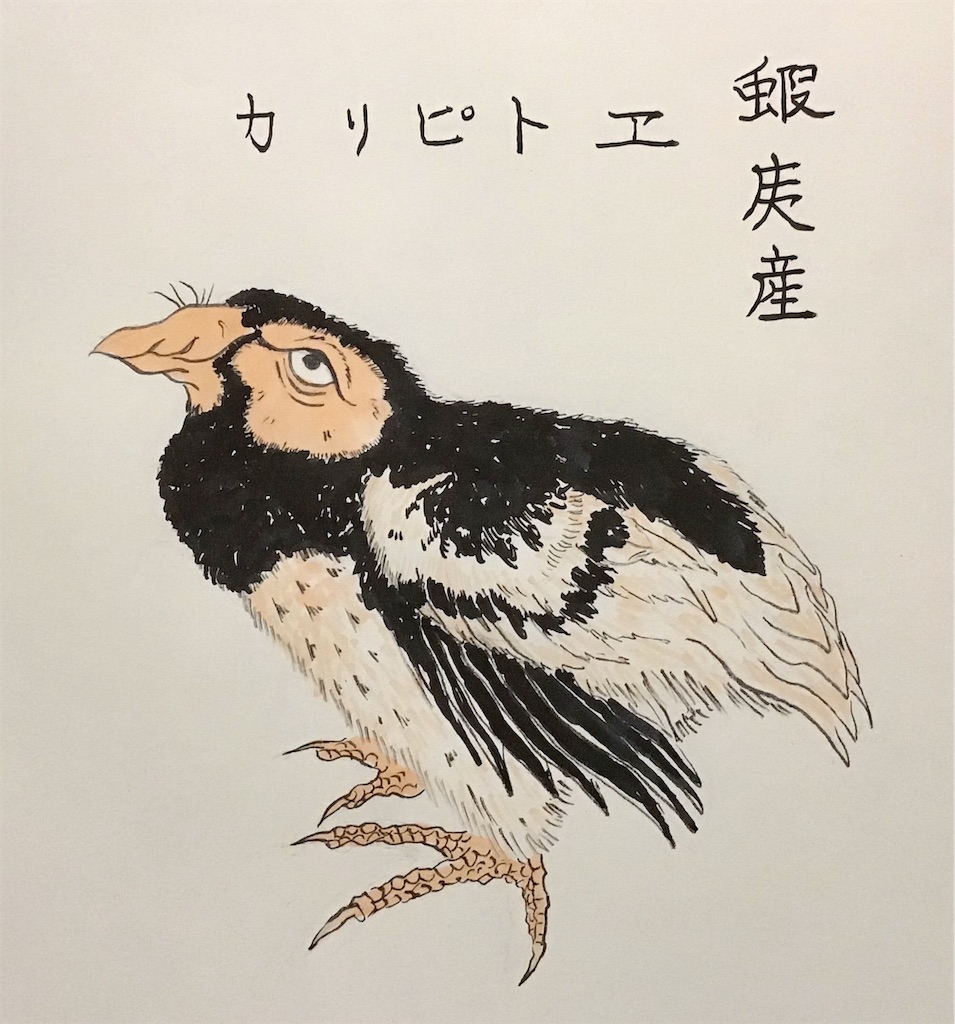 f:id:draw642:20191012085010j:image