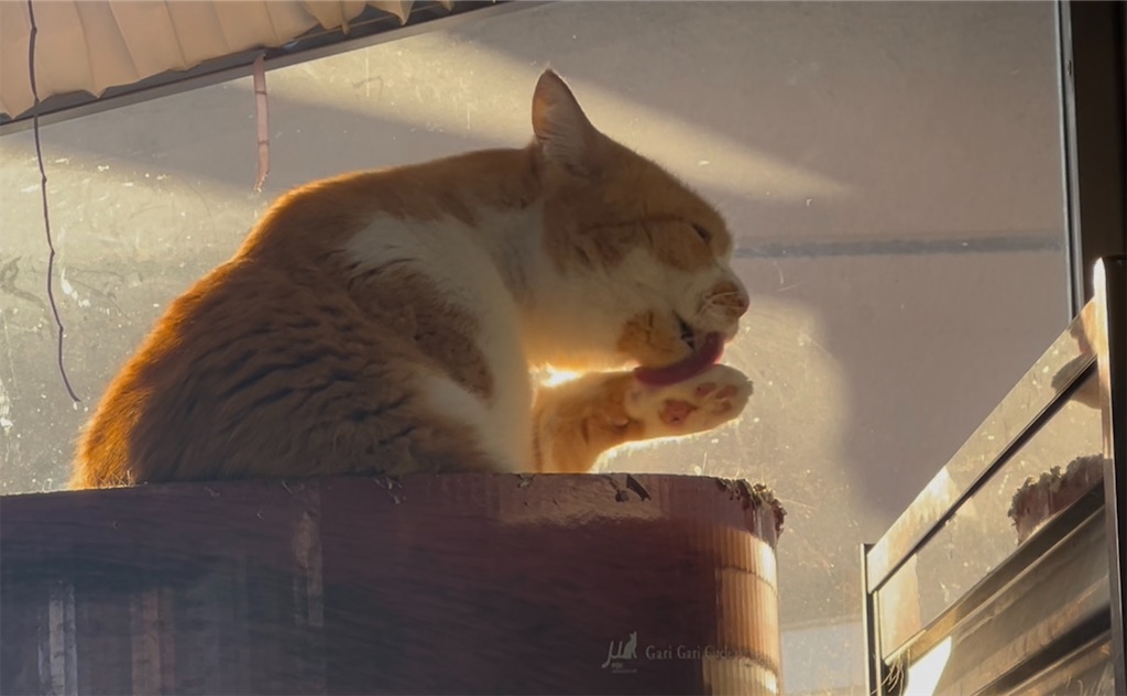 f:id:draw642:20260213173819j:image