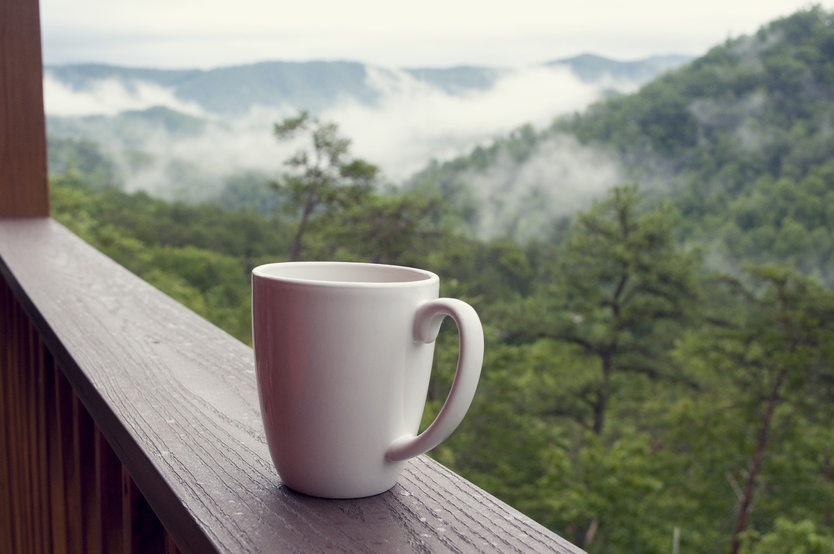 f:id:drcoffee:20191029091947j:plain f:id:drcoffee:20191029091947j:plain