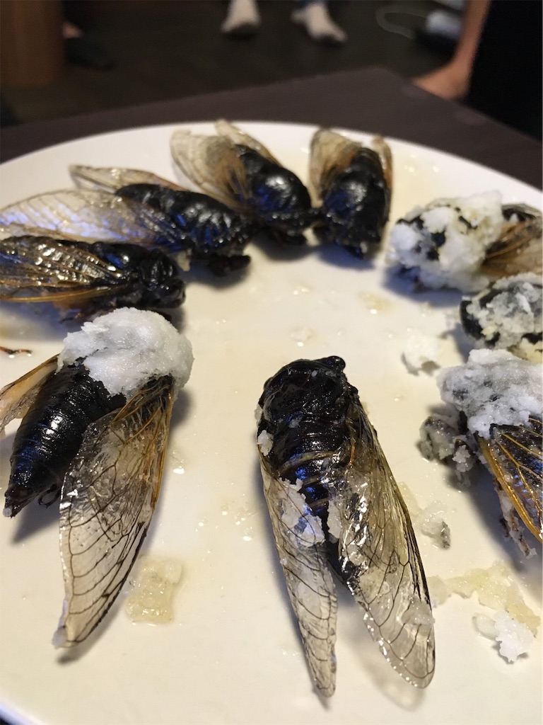 f:id:drcokroach:20190722165138j:image f:id:drcokroach:20190722165138j:image