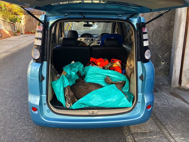 f:id:dreadnote666:20190527173630j:plain f:id:dreadnote666:20190527173630j:plain