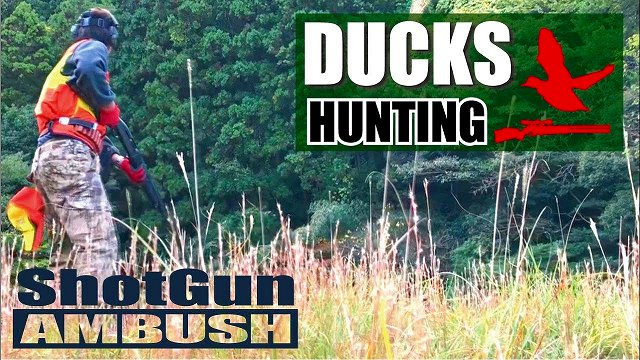 f:id:dreadnote666:20190527173657j:plain f:id:dreadnote666:20190527173657j:plain