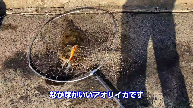 f:id:dreadnote666:20190530172702j:plain