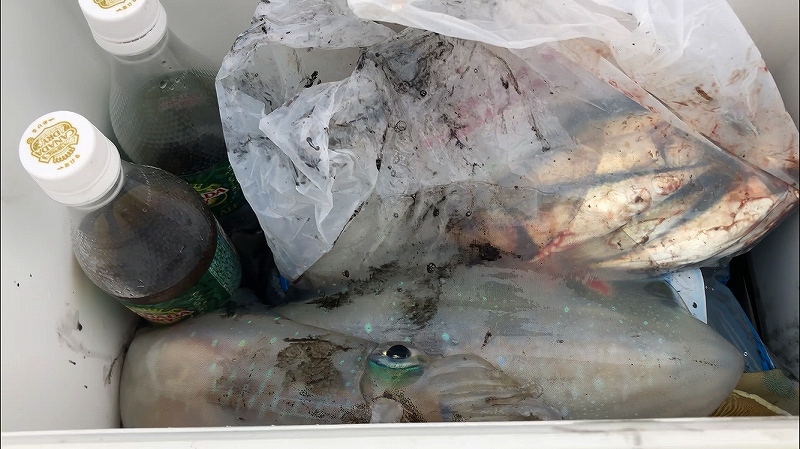 f:id:dreadnote666:20190629184116j:plain f:id:dreadnote666:20190629184116j:plain