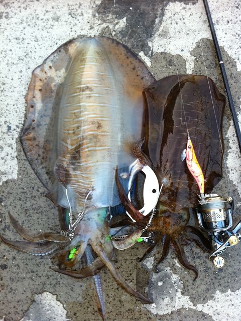 f:id:dreadnote666:20190705184428j:plain