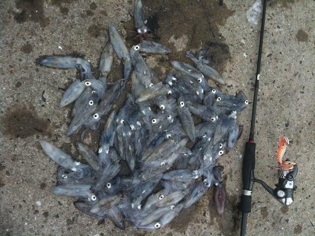 f:id:dreadnote666:20190705184431j:plain