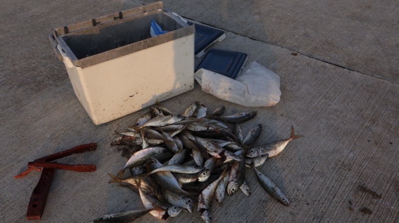 f:id:dreadnote666:20190927191235j:plain f:id:dreadnote666:20190927191235j:plain