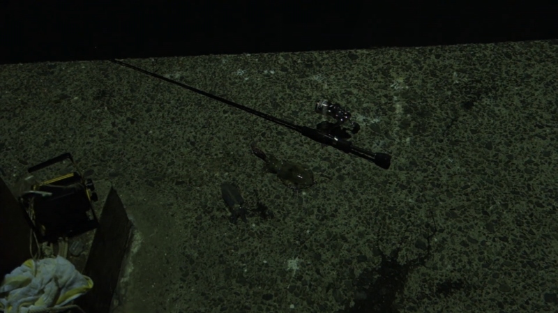 f:id:dreadnote666:20191006163947j:plain