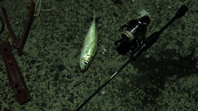 f:id:dreadnote666:20191006163955j:plain