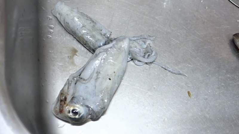 f:id:dreadnote666:20191009175049j:plain f:id:dreadnote666:20191009175049j:plain