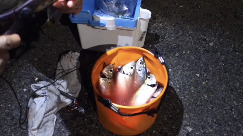 f:id:dreadnote666:20191013161702j:plain