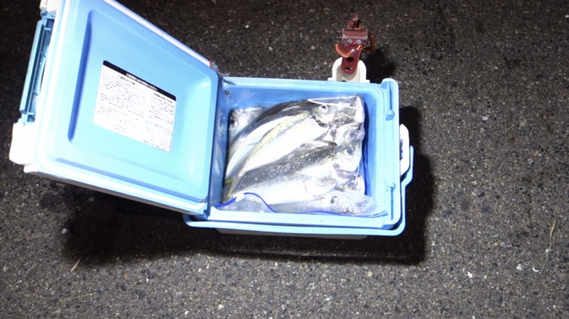 f:id:dreadnote666:20191013161708j:plain