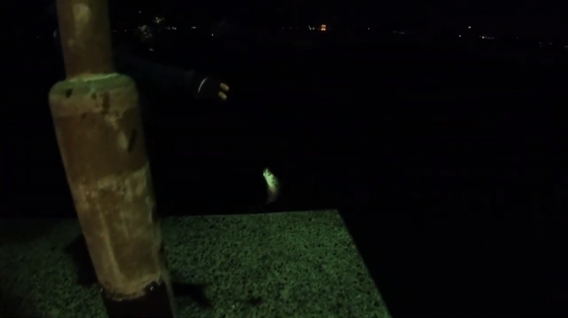 f:id:dreadnote666:20191021171727j:plain