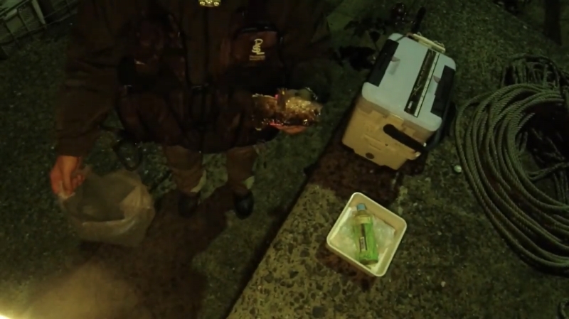 f:id:dreadnote666:20191021171755j:plain