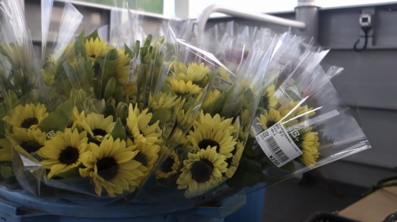 f:id:dreadnote666:20191021171811j:plain