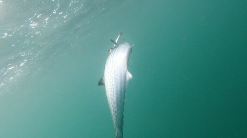 f:id:dreadnote666:20191113175848j:plain