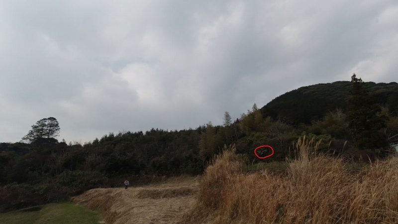 f:id:dreadnote666:20200201175036j:plain