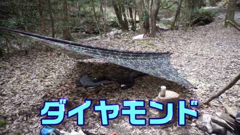 f:id:dreadnote666:20200211181242j:plain