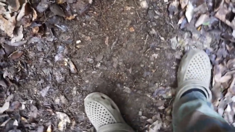 f:id:dreadnote666:20200211181245j:plain