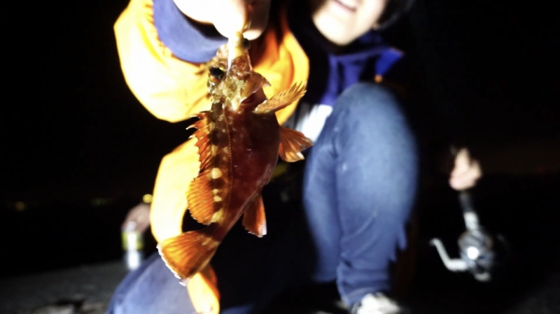 f:id:dreadnote666:20200216175537j:plain