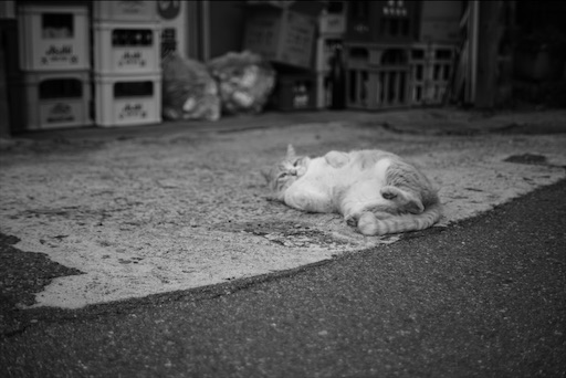 f:id:dreadnote666:20200220110940j:image f:id:dreadnote666:20200220110940j:image