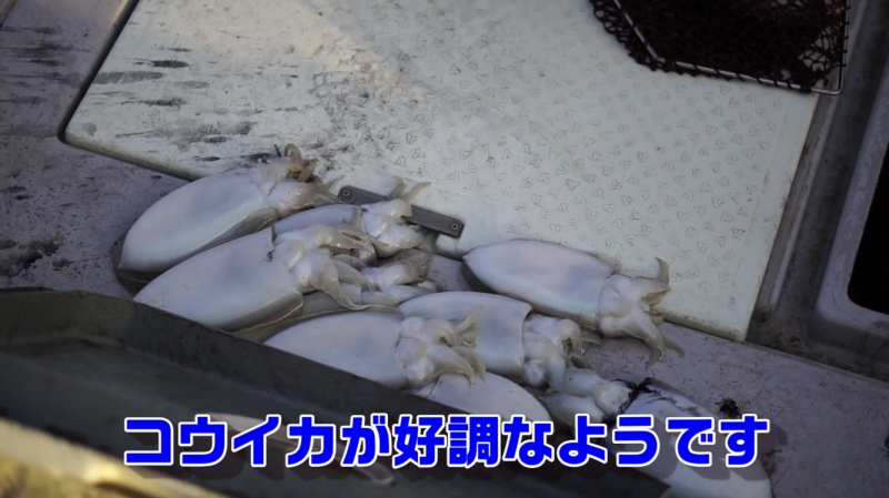 f:id:dreadnote666:20200324173458j:plain