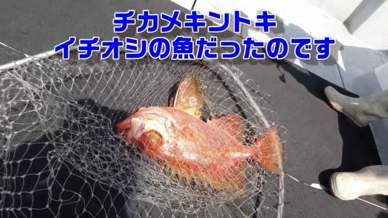 f:id:dreadnote666:20200406172252j:plain