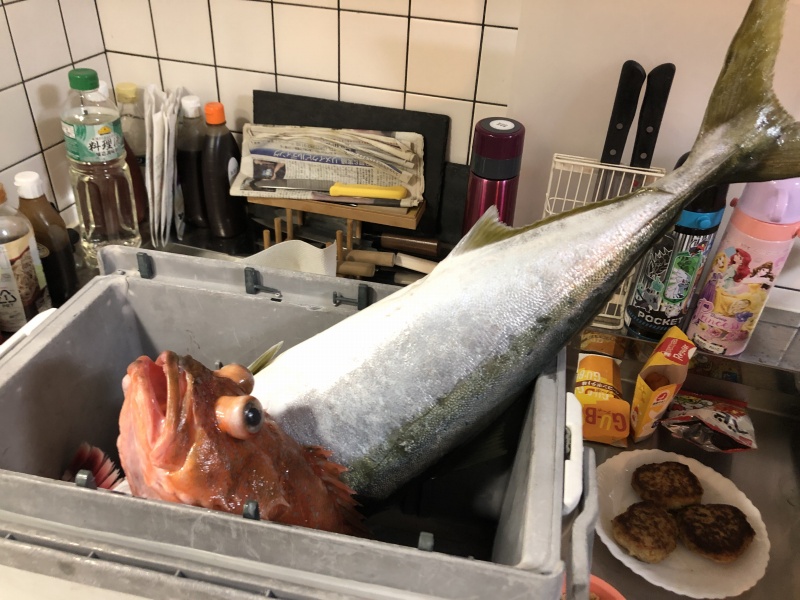 f:id:dreadnote666:20200418120053j:plain